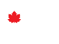 Logo of PLB International