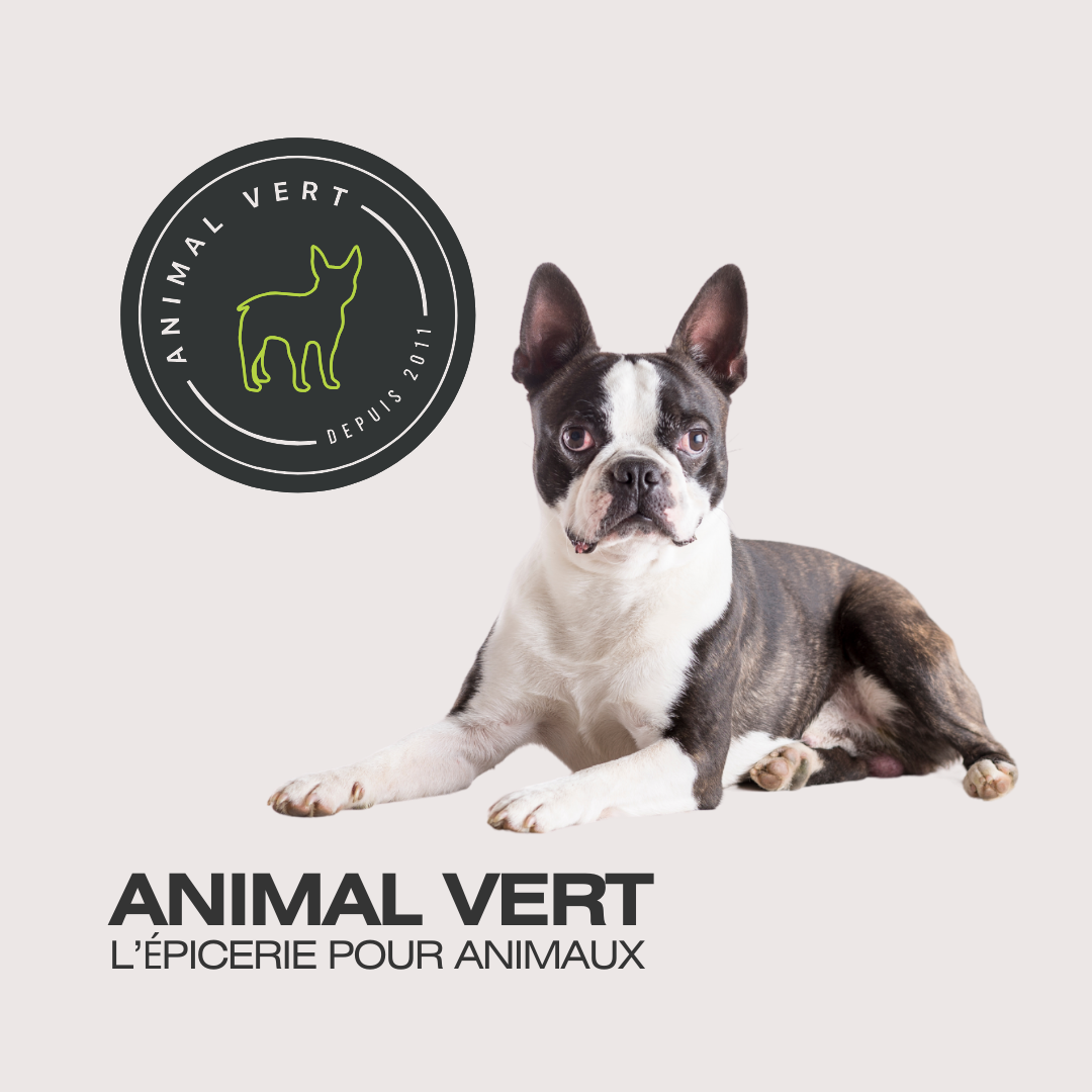 Logo Animal vert (l'épicerie pour animaux)