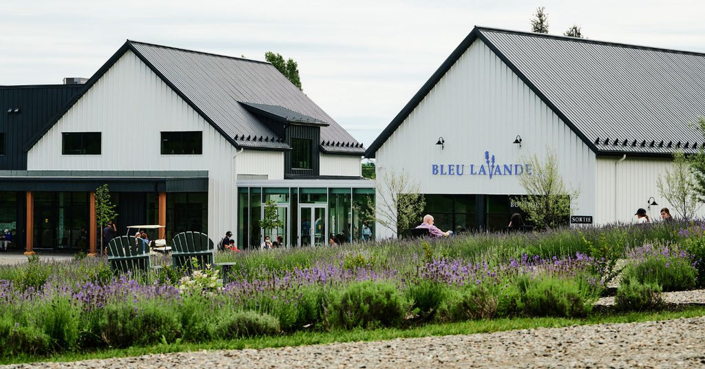 Logo de Bleu Lavande