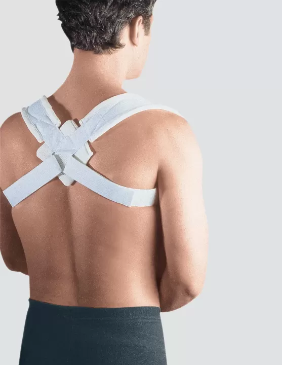 SUPPORT POUR CLAVICULES