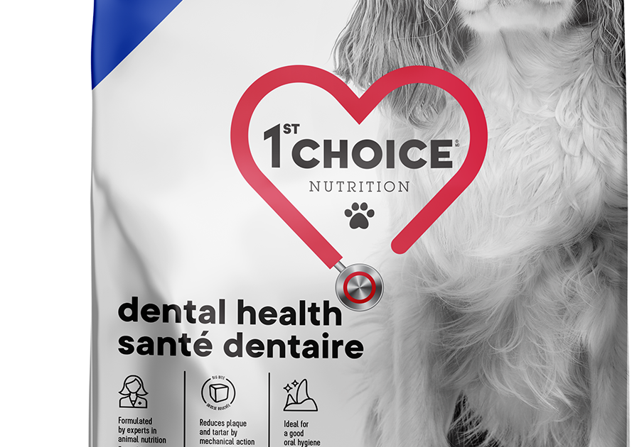 Dental Health