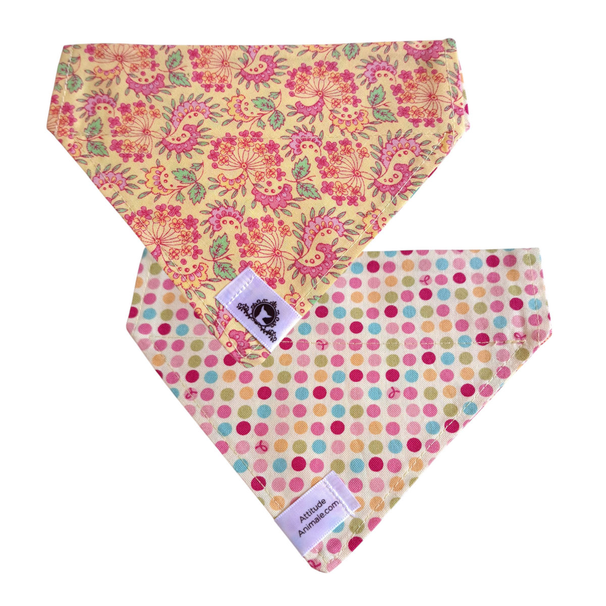 Foulard réversible 2 en 1 pour chat et petit chien - PR041