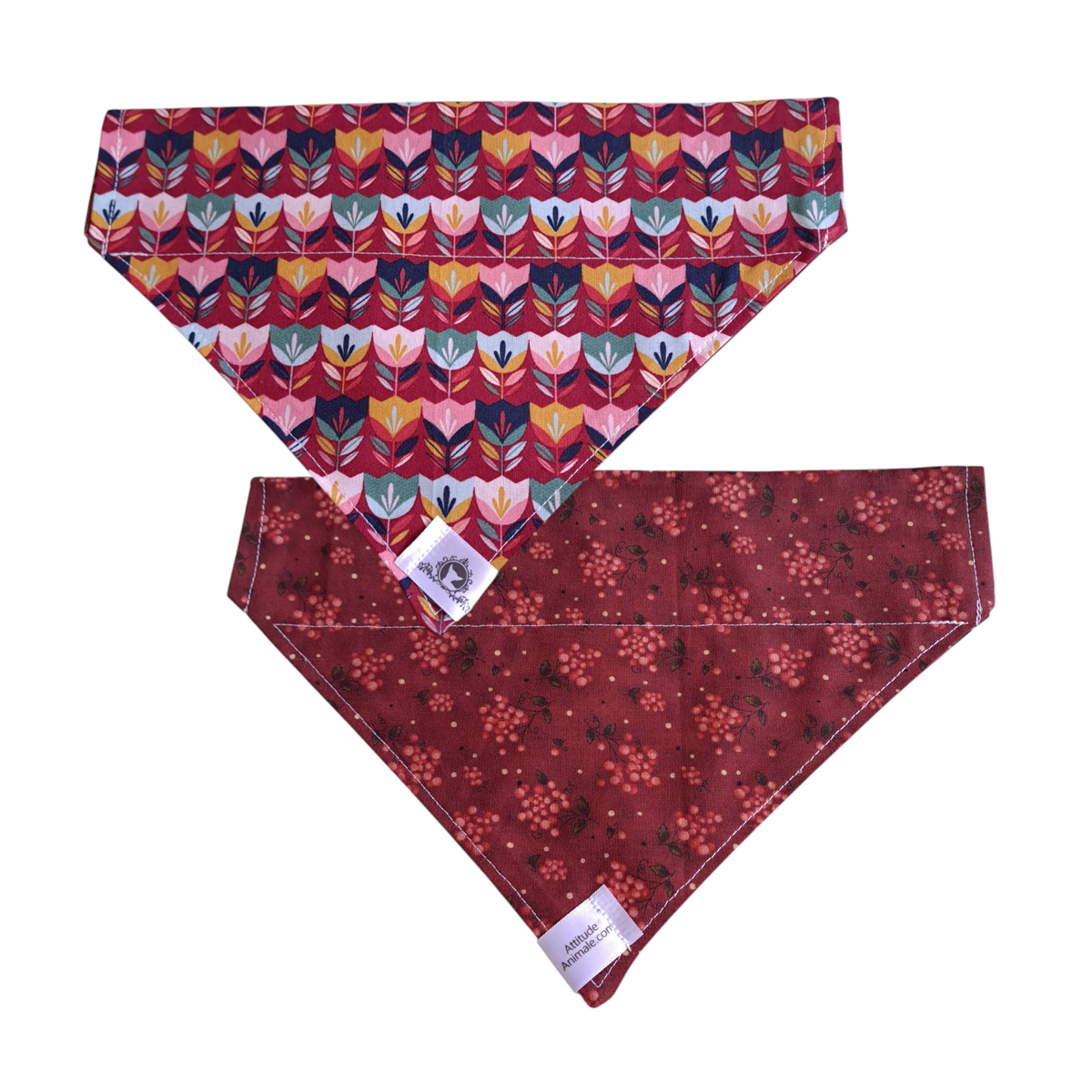Foulard réversible 2 en 1 pour grand chien - GR038