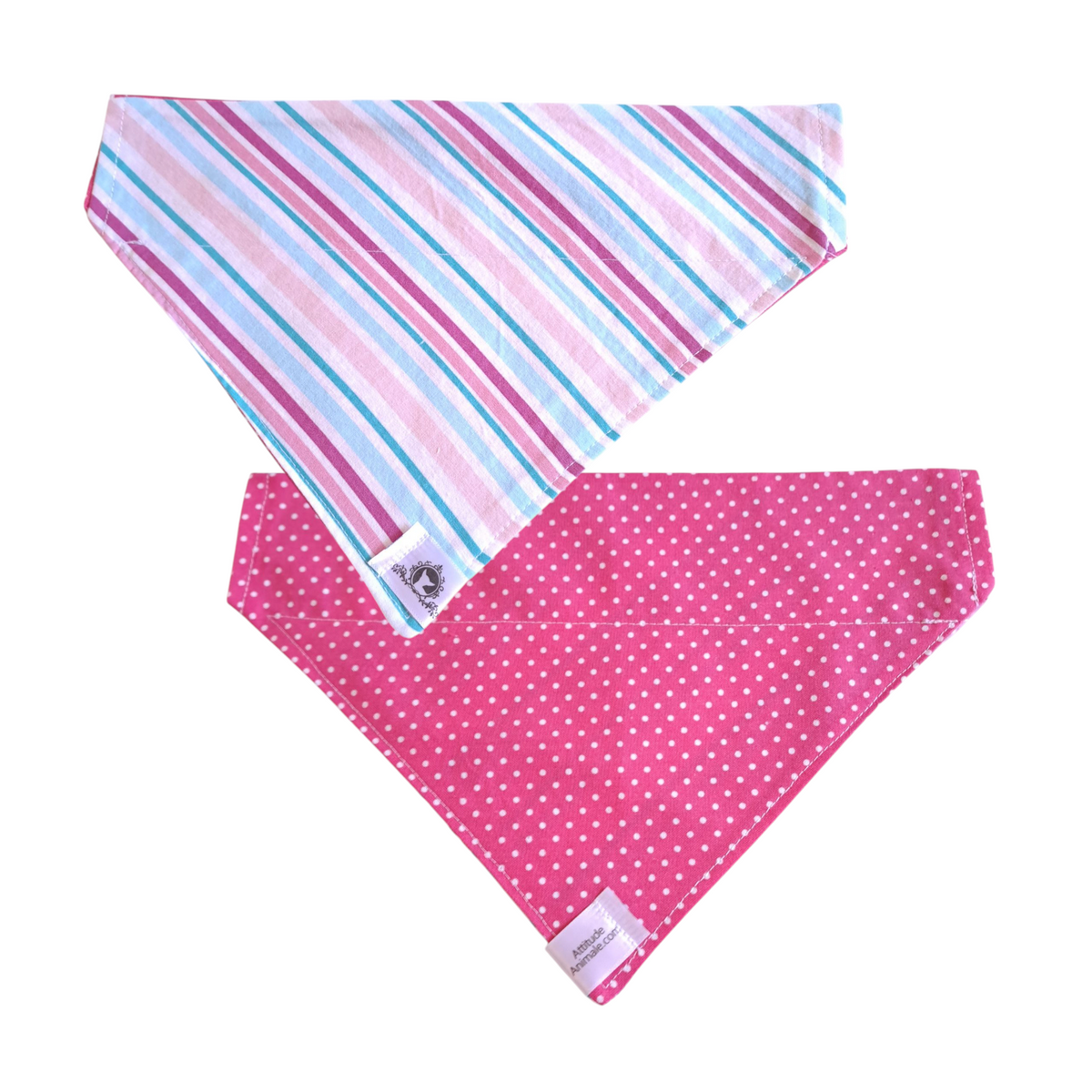 Foulard réversible 2 en 1 pour grand chien - GR054