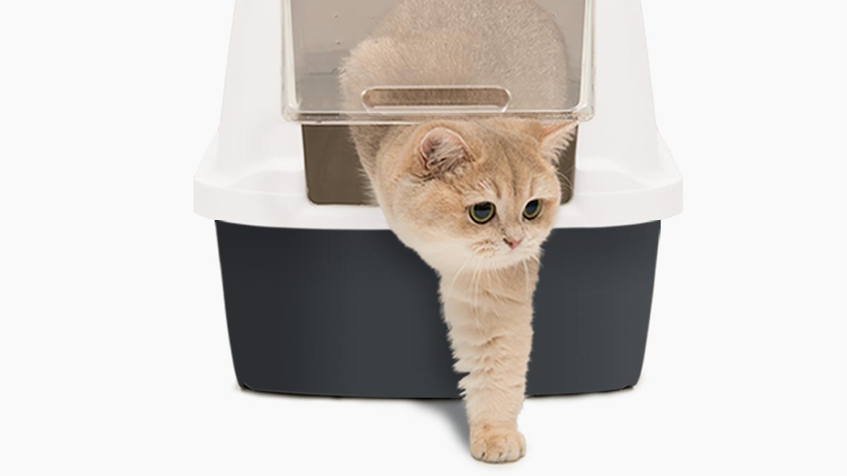 Catit Litter Boxes & Accessories