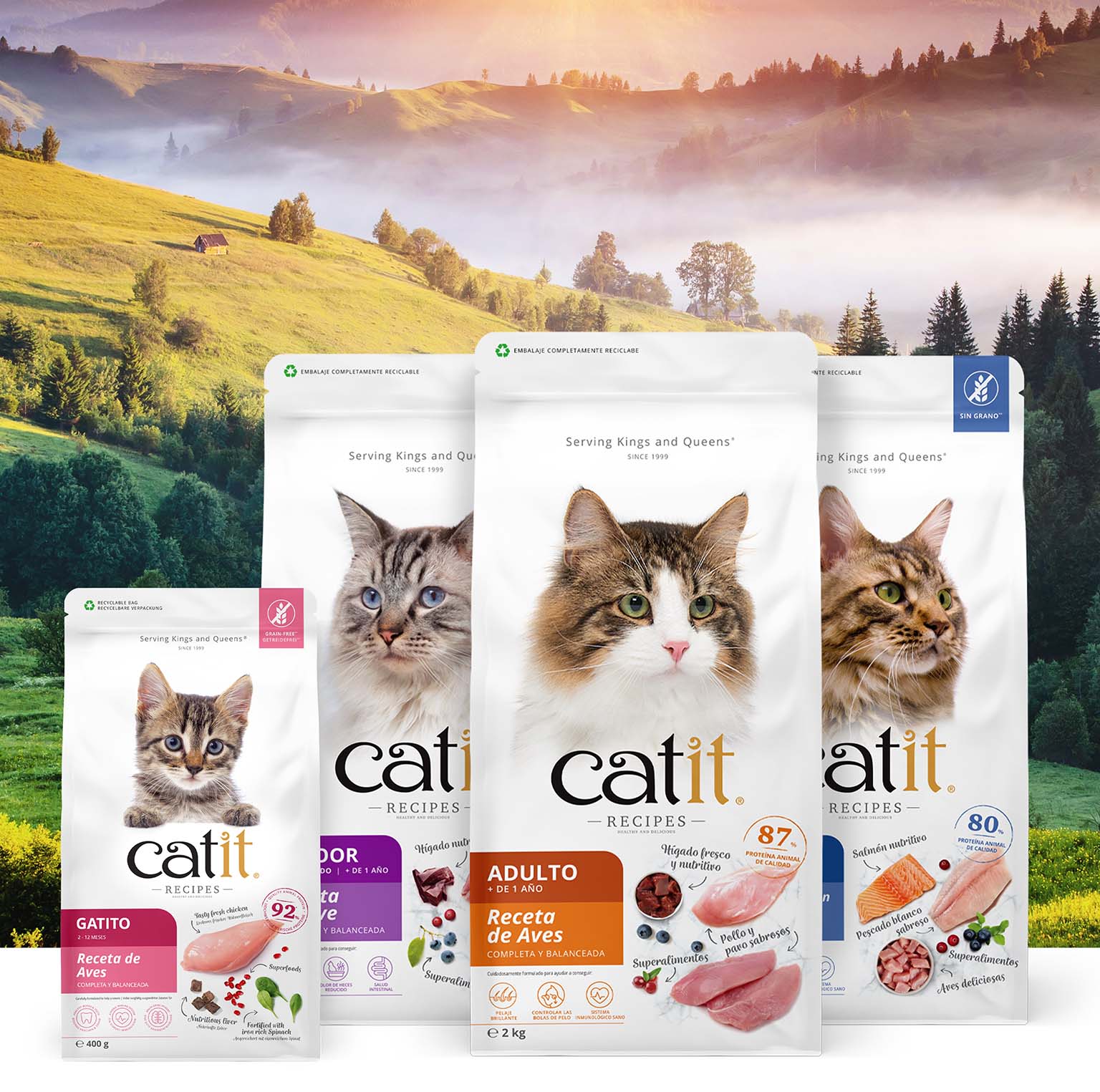 CATIT RECIPES – ALIMENTO SECO