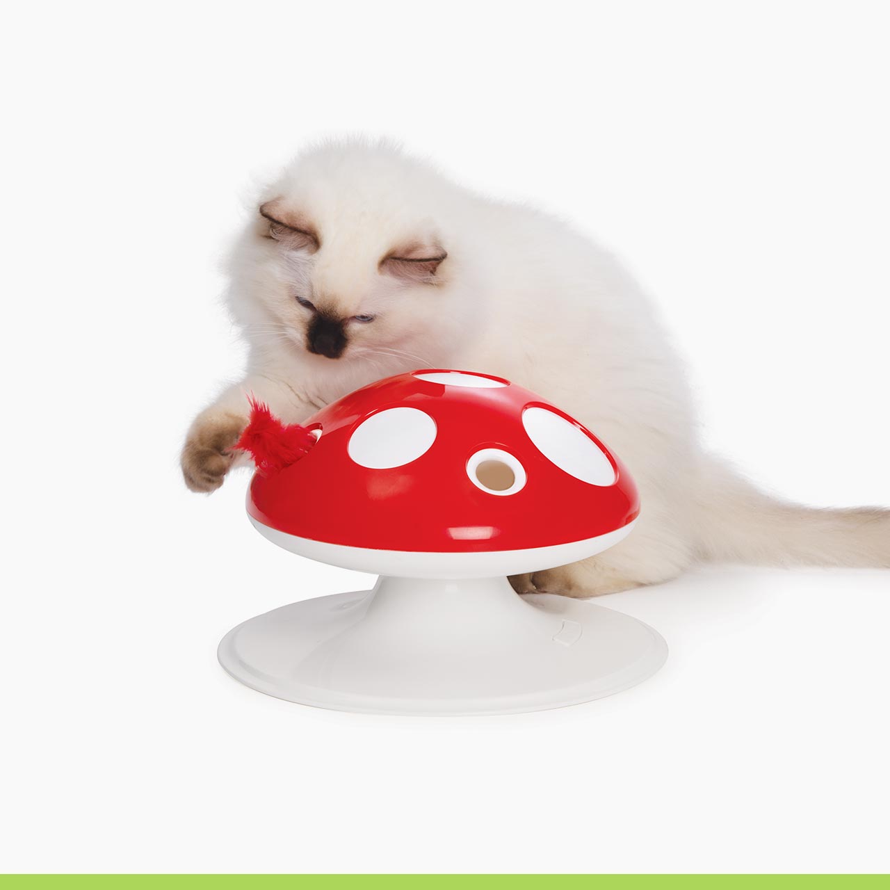 Catit Senses Fliegenpilz