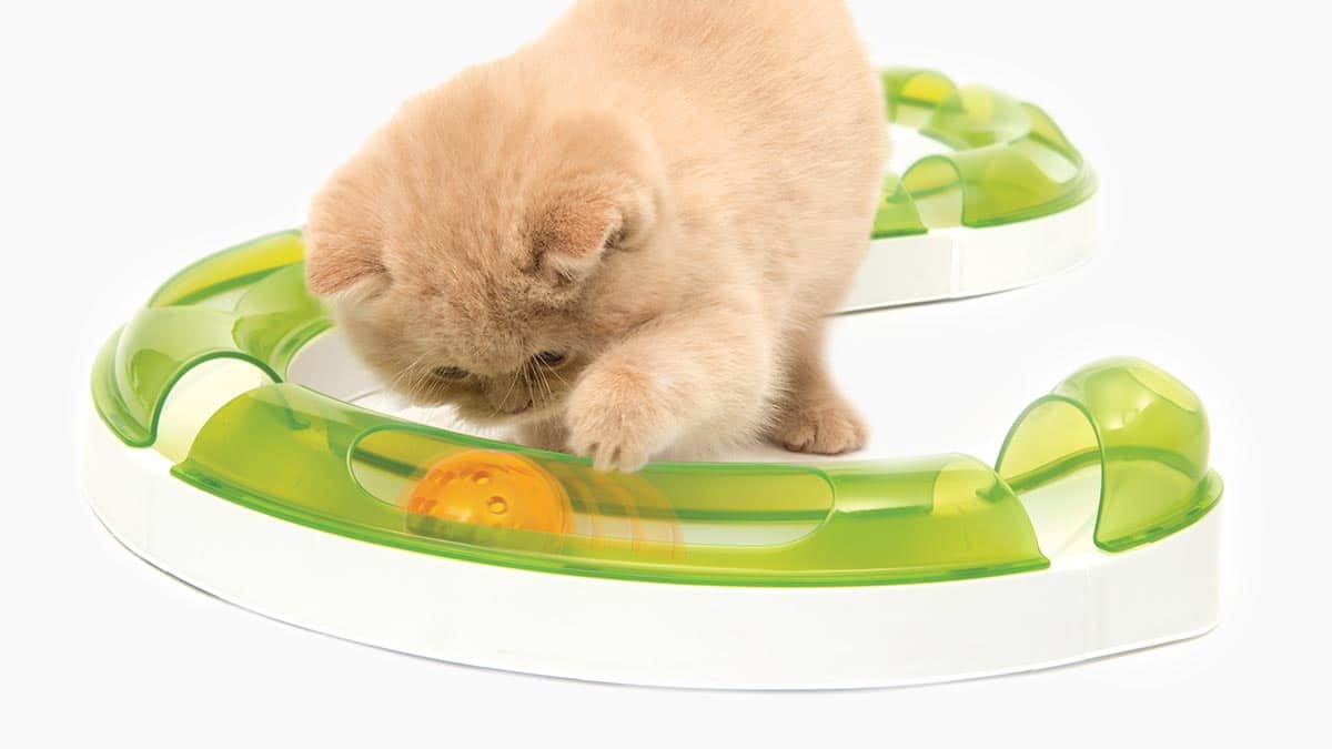 Catit Senses Spielschienen