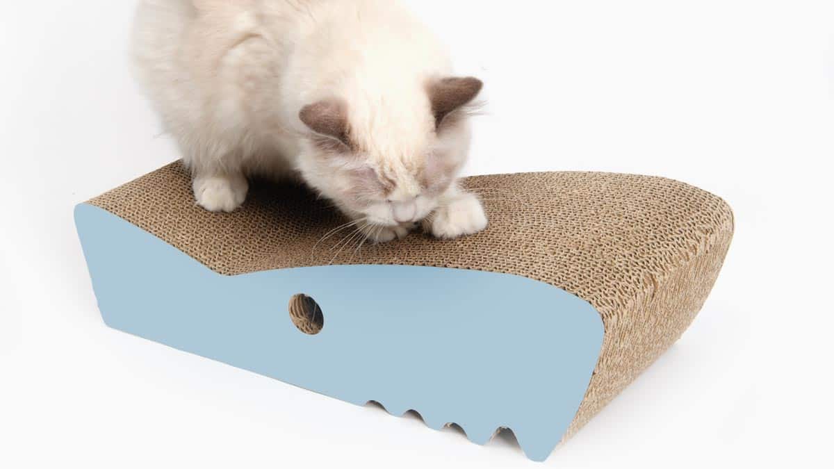 Scratchers