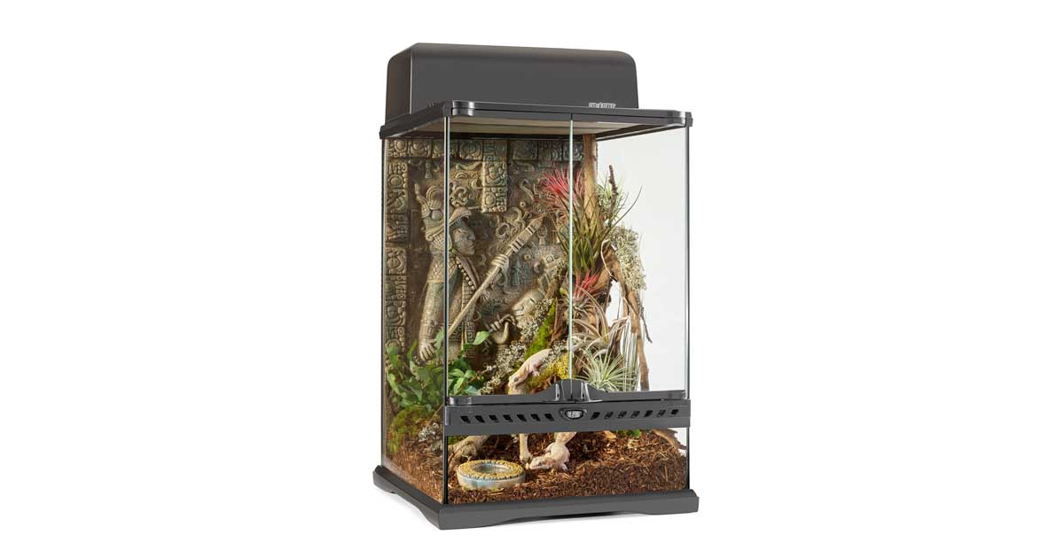 Aztec Terrarium Mini Tall