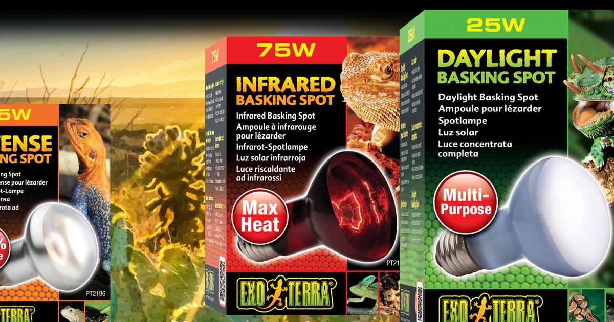 Basking Spot Bulbs