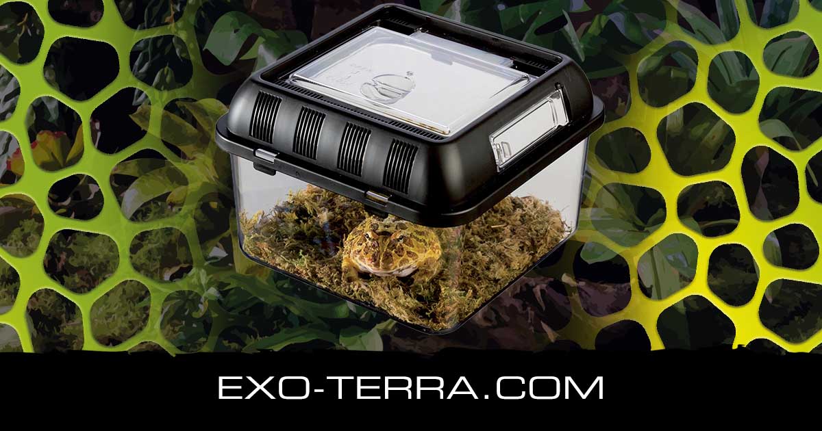 Breeding Box Small