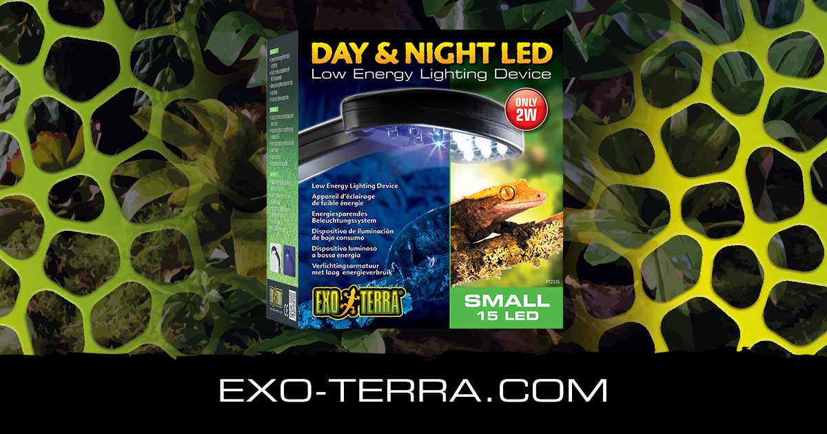 Day & Night LED Small