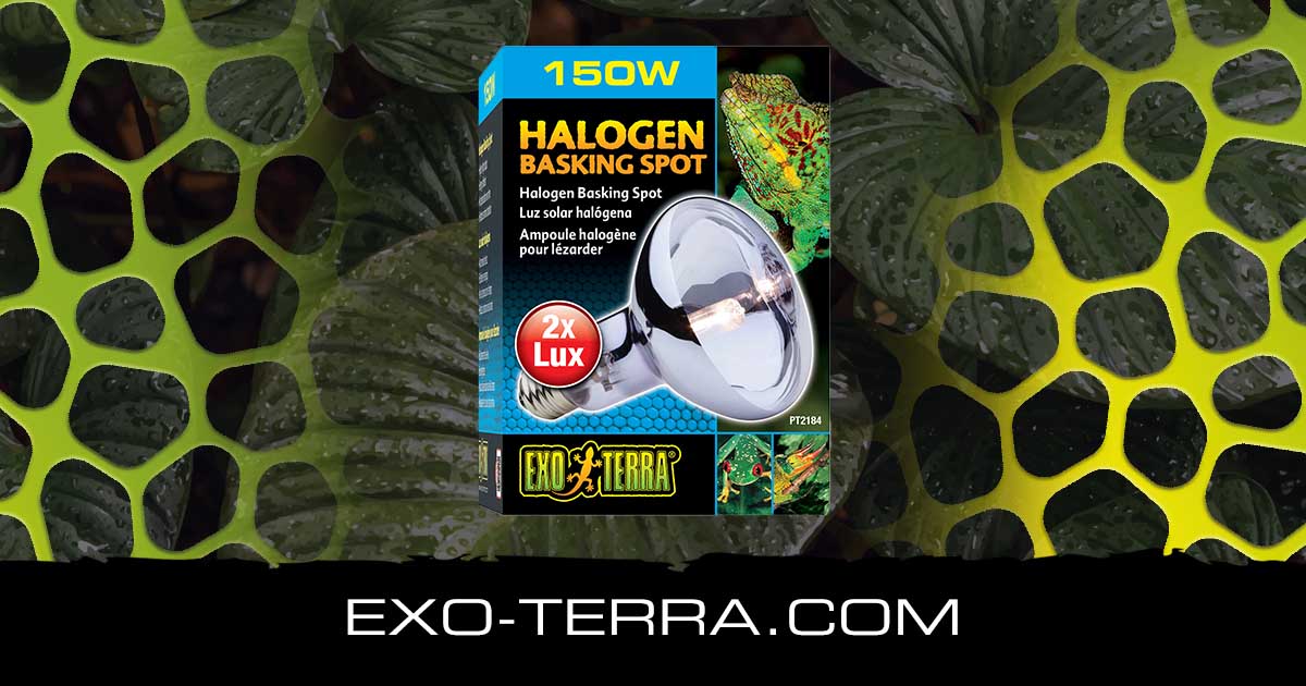 Halogen Basking Spot 150W