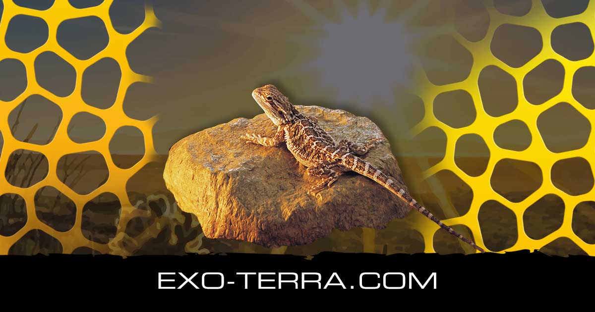 Heat Wave Rock Medium 10W