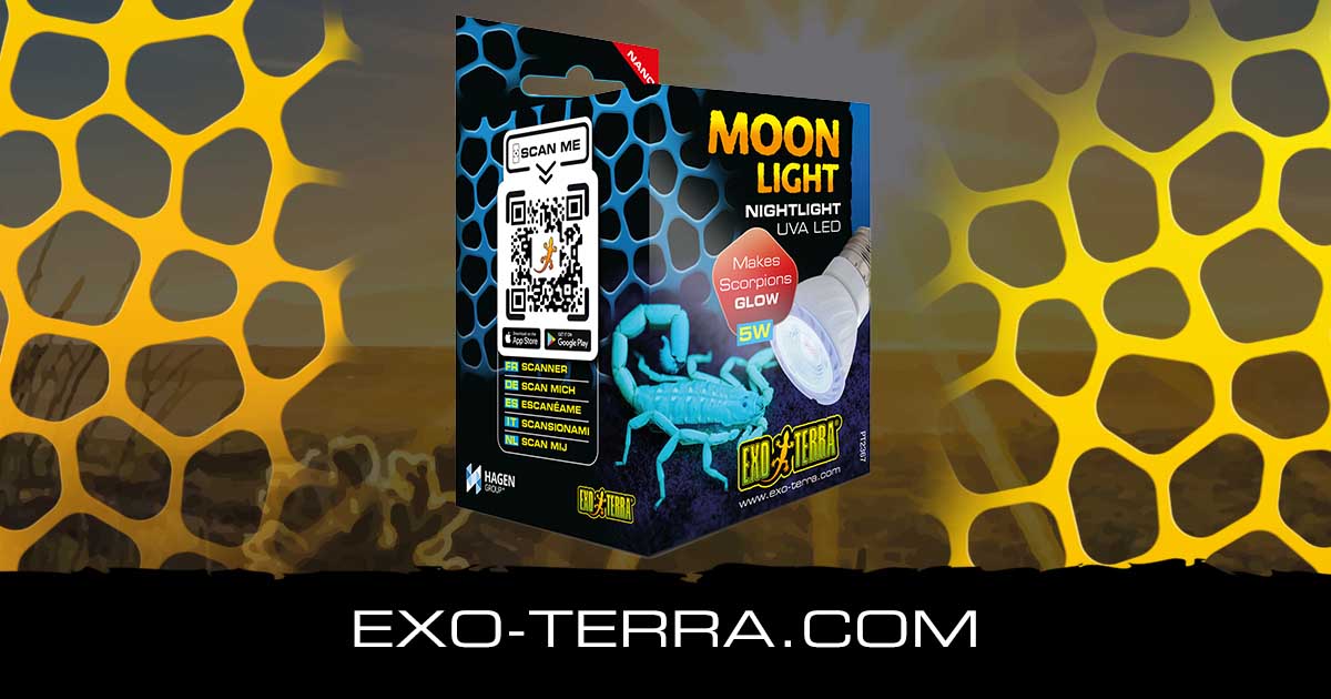 Moonlight 5W