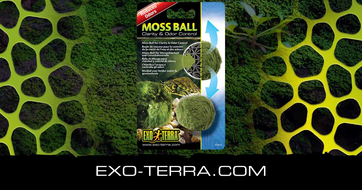Moss Ball