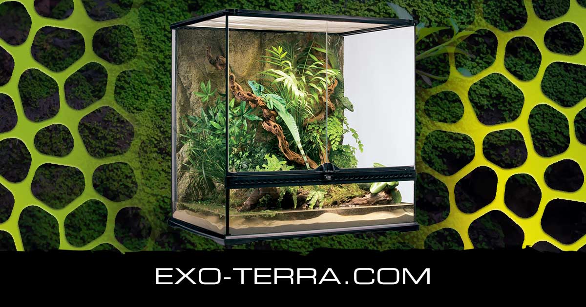 Natural Terrarium Medium Tall