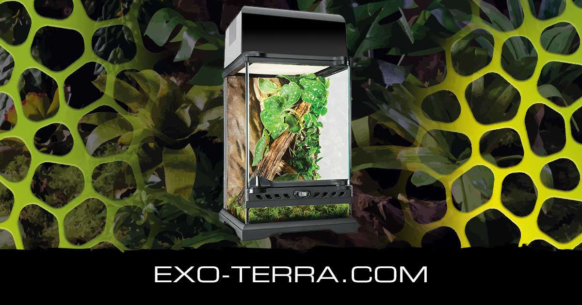 Natural Terrarium Nano Tall