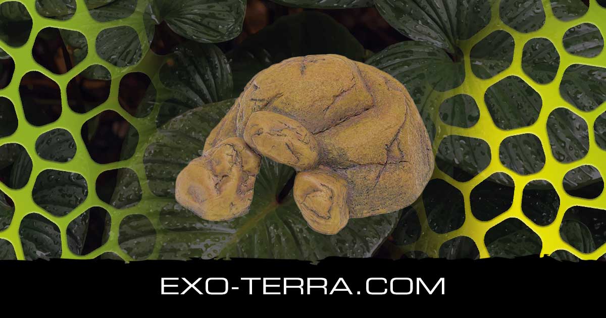 Reptile Pebble Cave Small