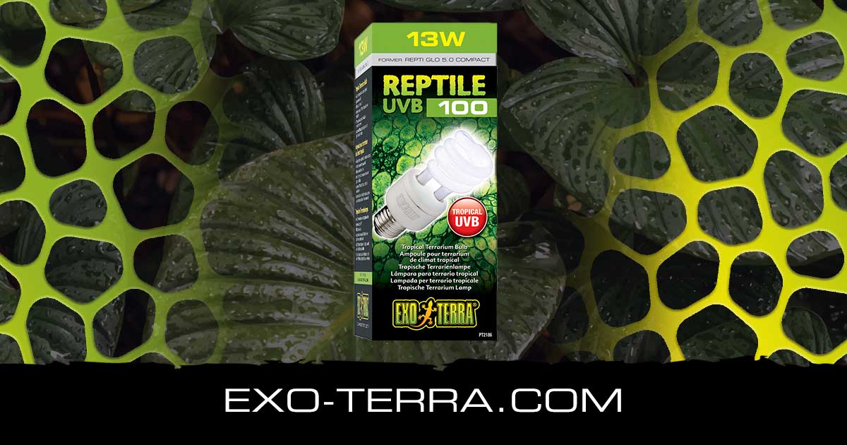 Reptile UVB100 Compact 13W