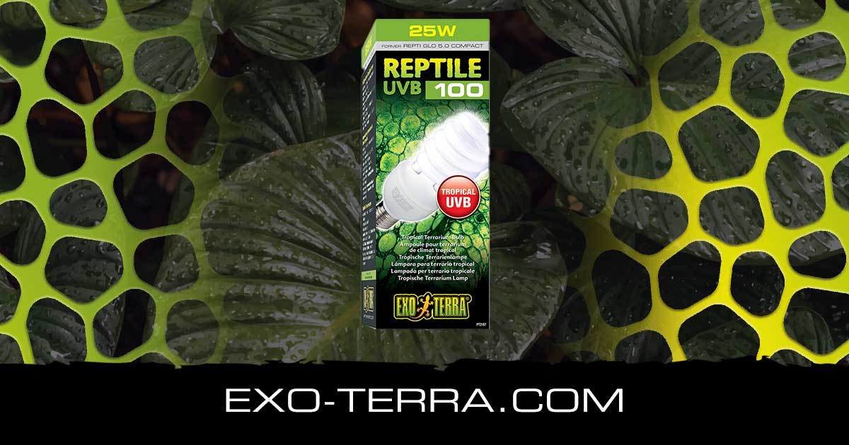 Reptile UVB100 Compact 25W