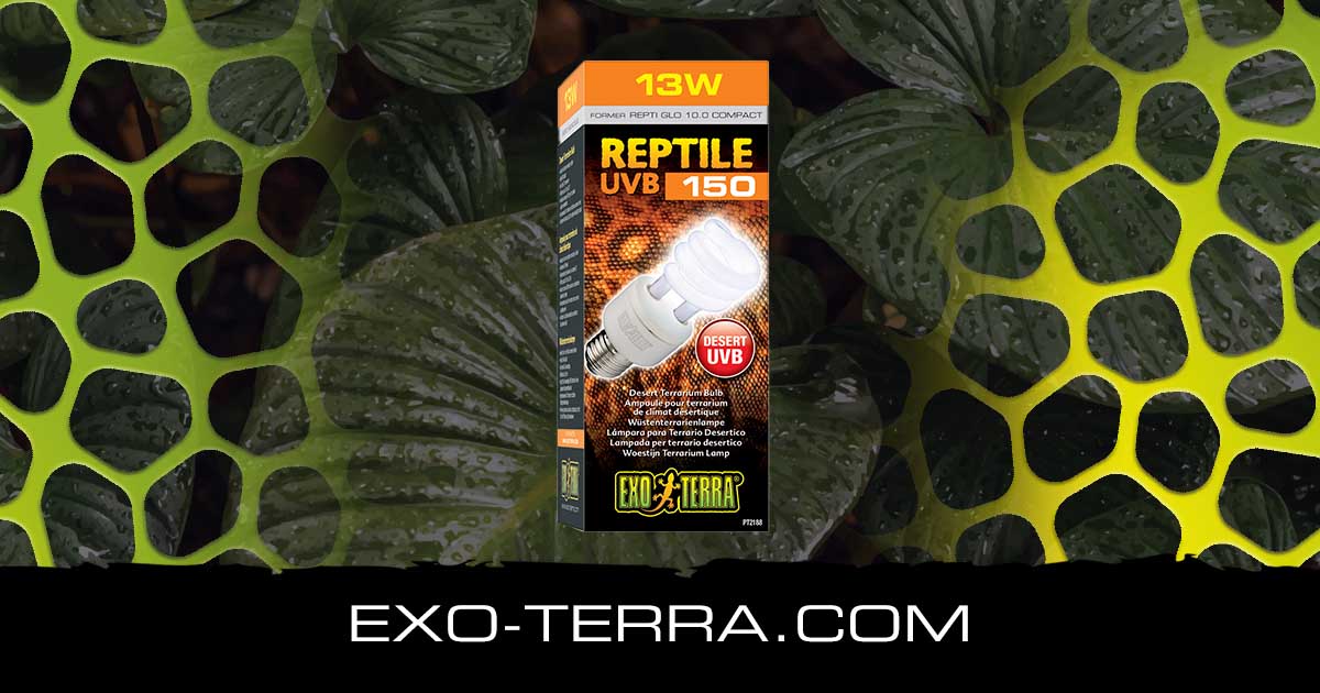 Reptile UVB150 13W