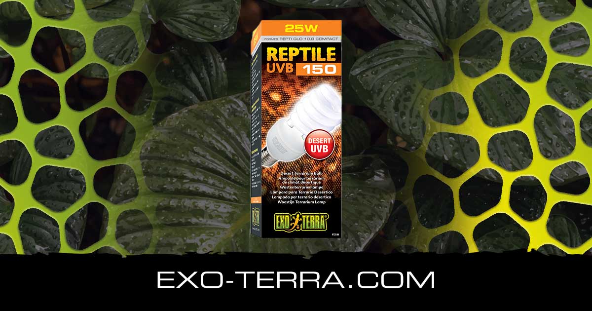 Reptile UVB150 25W
