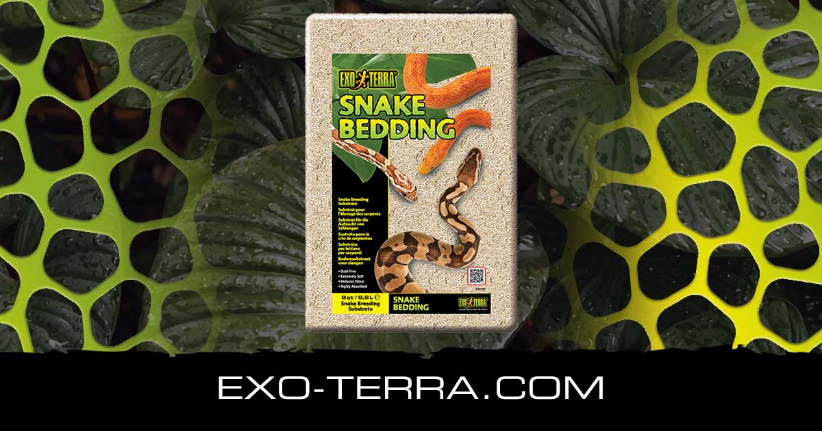 Snake Bedding 8QT – 8,8L