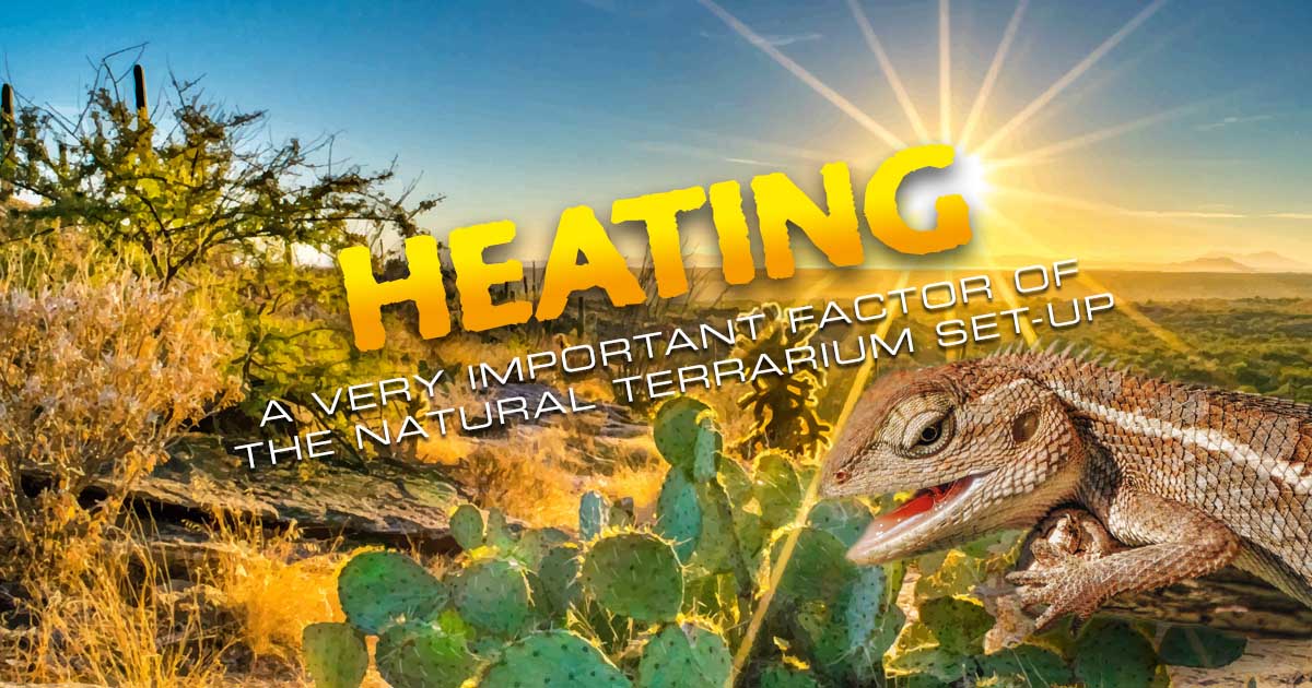 Substrate Heaters