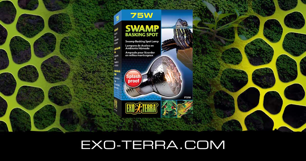 Swamp Basking Spot 75W