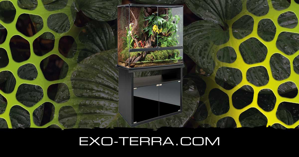 Terrarium Cabinet Large