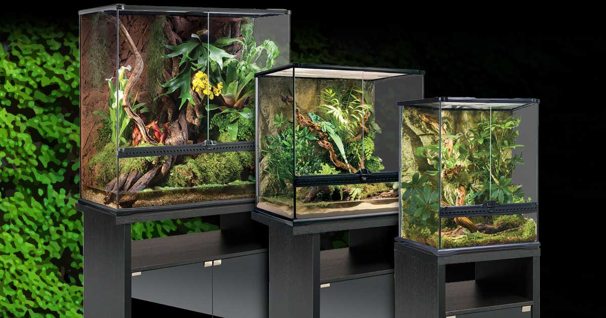 Terrarium Cabinets
