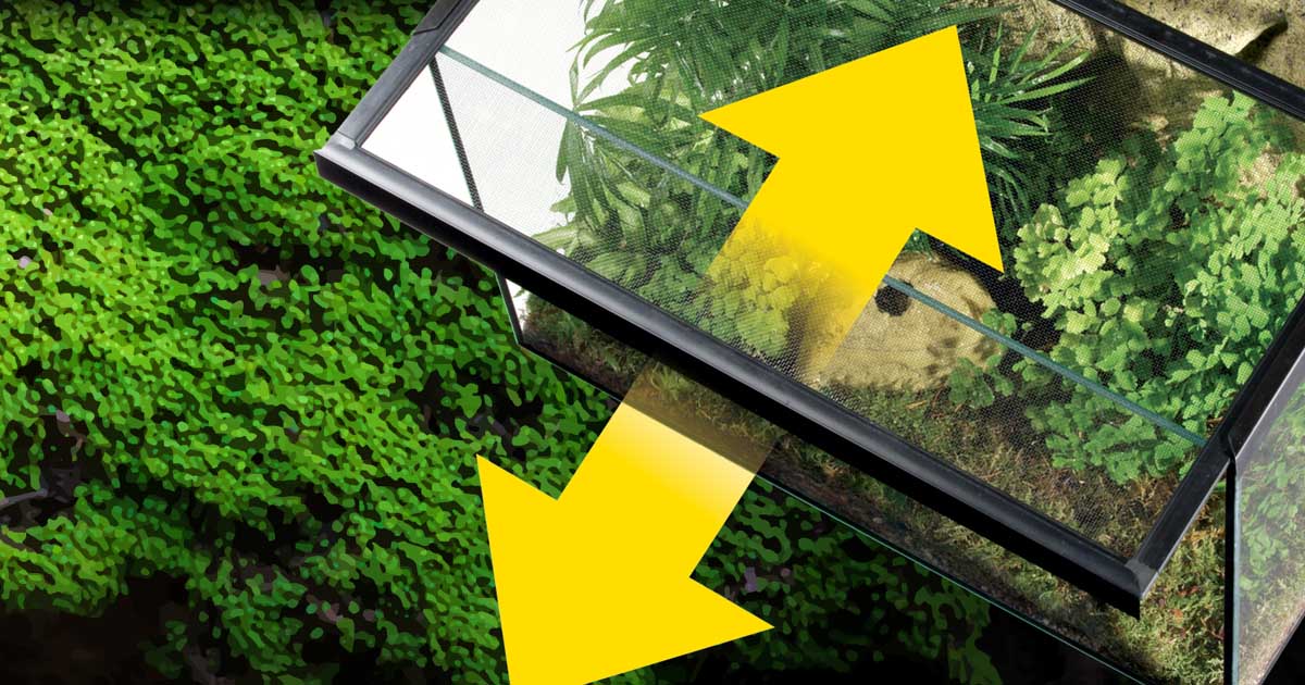 Terrarium Covers