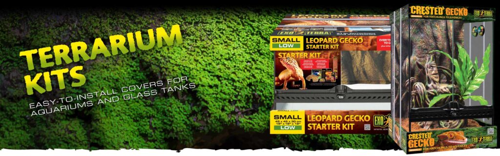 Terrarium Kits