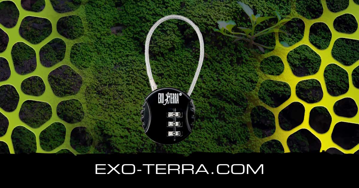 Terrarium Lock