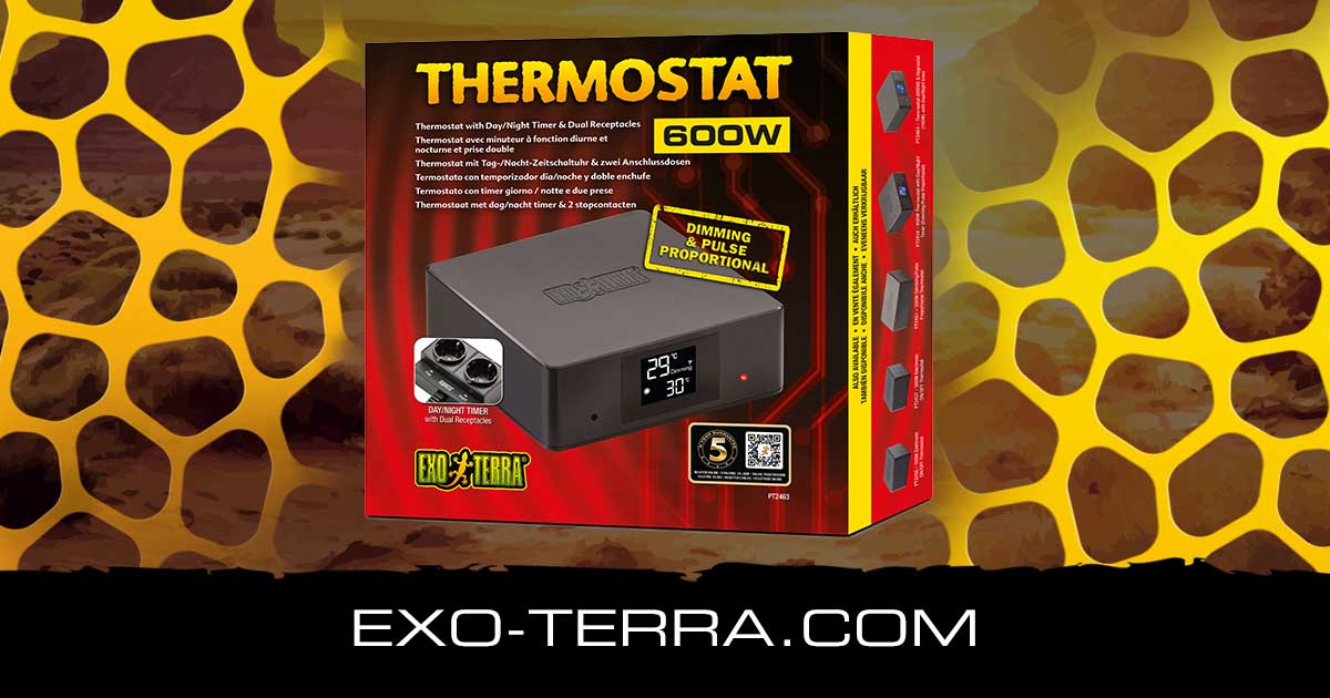 Thermostat 600W Dual Receptacles