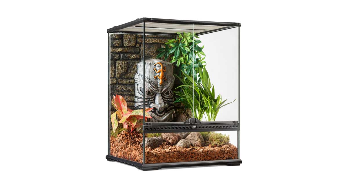 Tiki Terrarium Small Tall