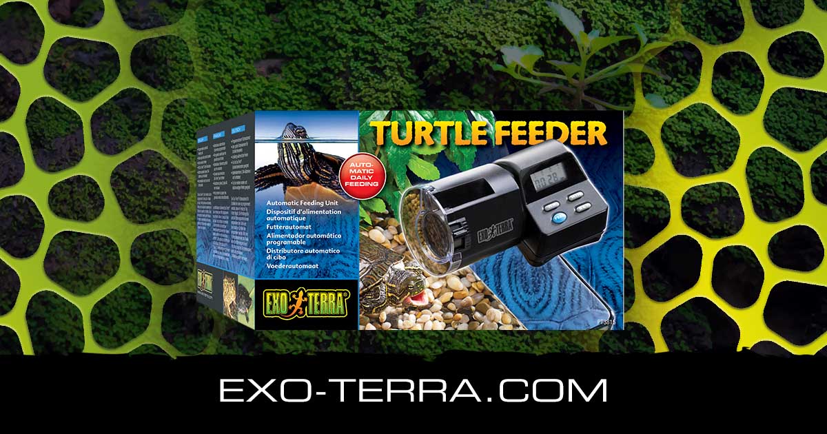 Turtle Feeder