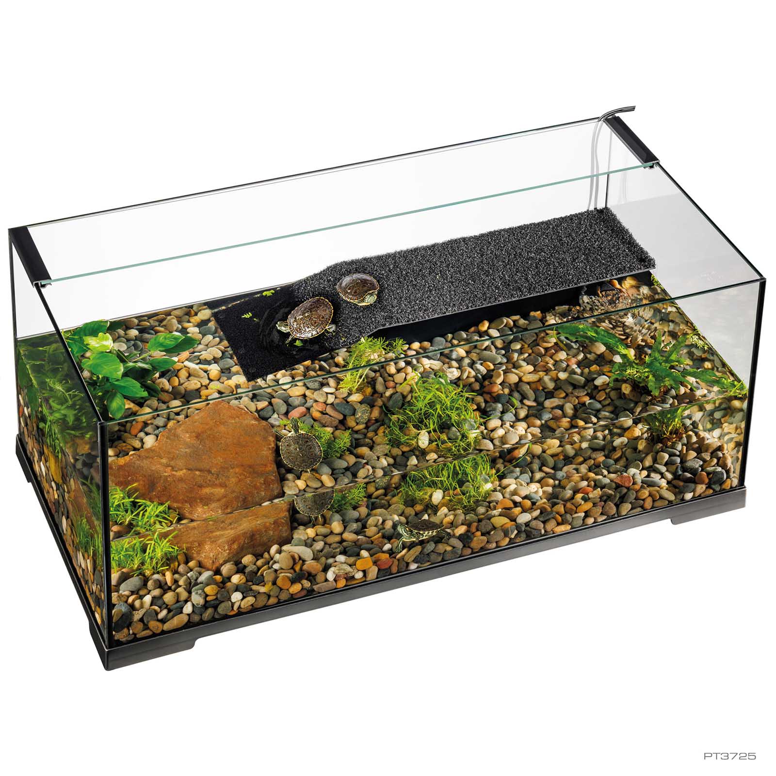Turtle Haven