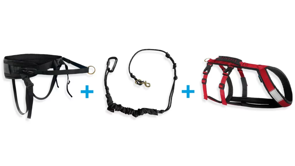 Ensemble canicross – 1 chien – Ceinture multifonction | Harnais hybride