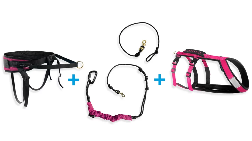 Ensemble skijoring – 1 chien – Ceinture multifonction | Harnais hybride