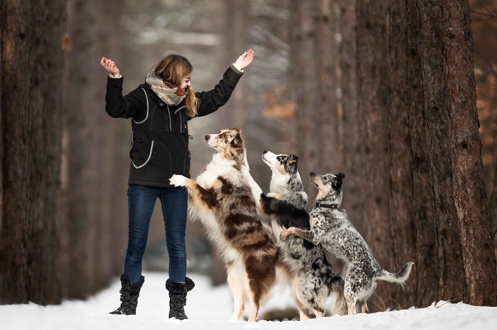 5 Tips to Maintain Your Dog’s Mental Health
