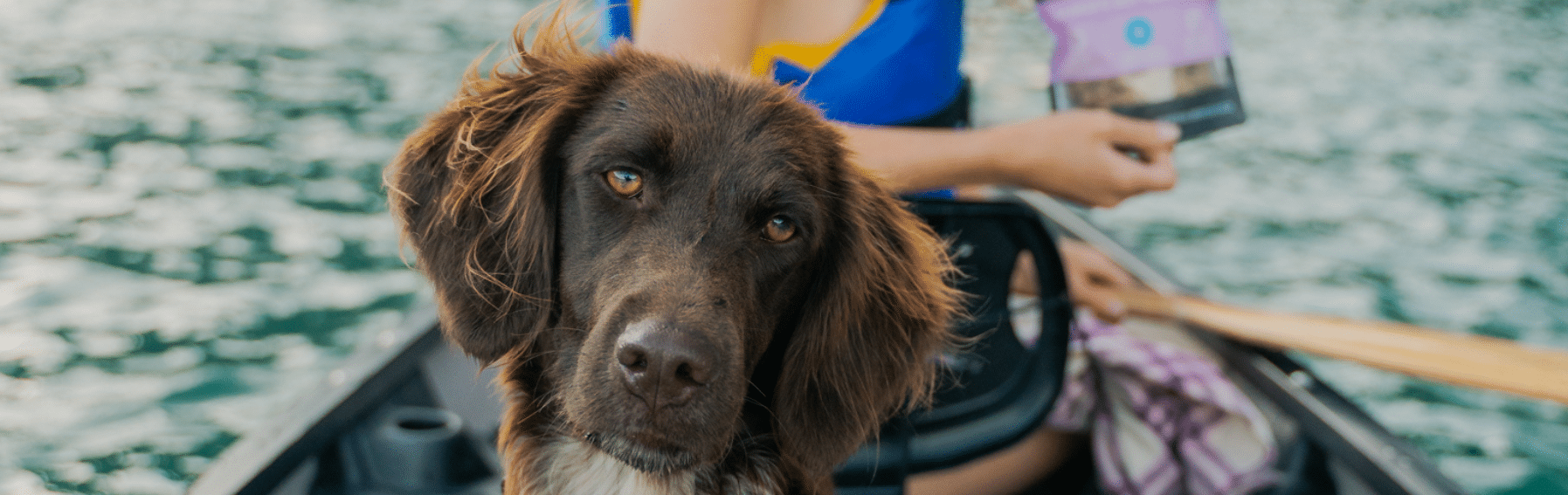 Freeze-Dried Lamb Liver Dog Treats