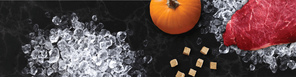 Freeze-Dried Raw Beef & Pumpkin Dog Food