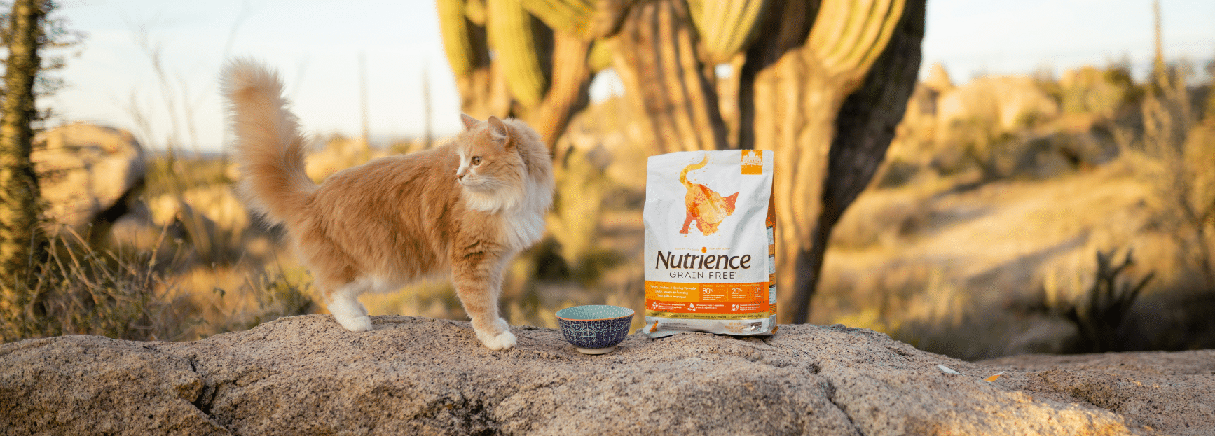 Grain Free Cat Food Turkey, Chicken & Herring