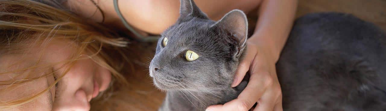 Healthy Adult Indoor Cat Food