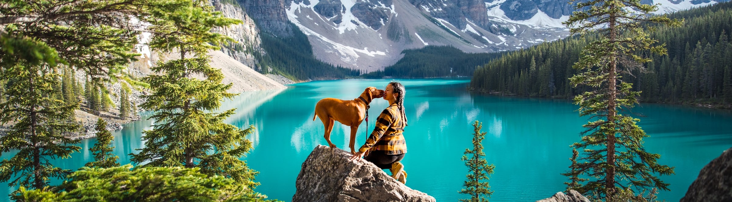 Healthy Adult, Ocean Fish – Dog Food