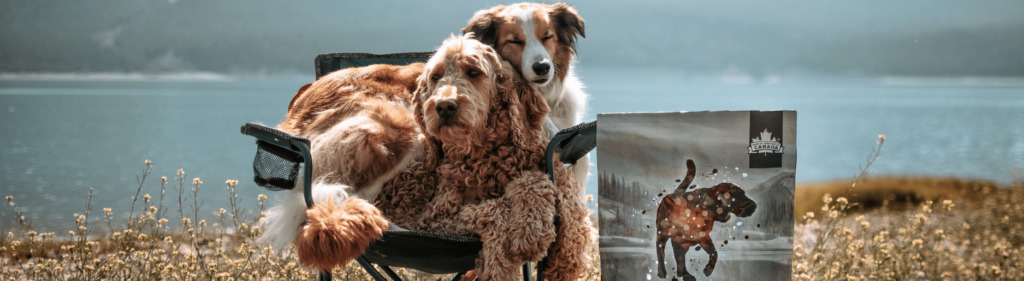 Healthy Senior Dog Food, Chicken