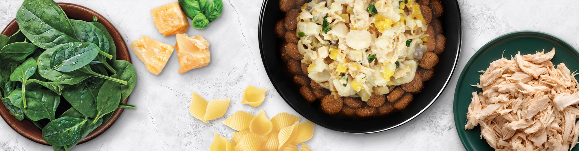 Homestyle Chicken Florentine Dog Food Topper